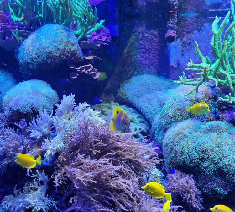 aquarium-of-niagara-photo